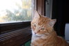 Rupert