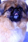 Lily