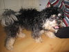 Romeo