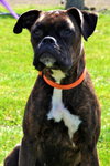 Lola