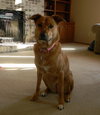 Lilly