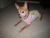 Lilly