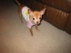 Lilly