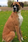 Lilly