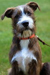 Charlie