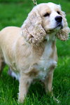 Molly