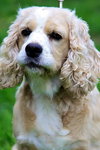 Molly