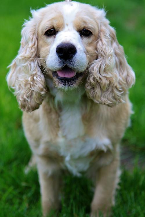 Molly