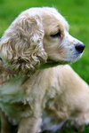 Molly