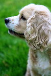 Molly