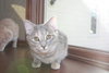 Zoe