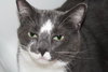 Sebastian