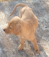 Molly