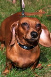 Winnie