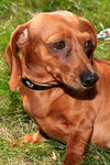 Winnie
