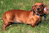 Winnie