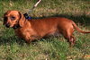 Winnie