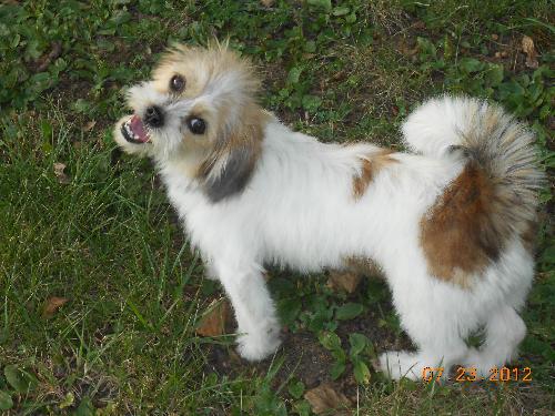 Coco