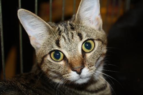 Mimi