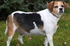 Lilly