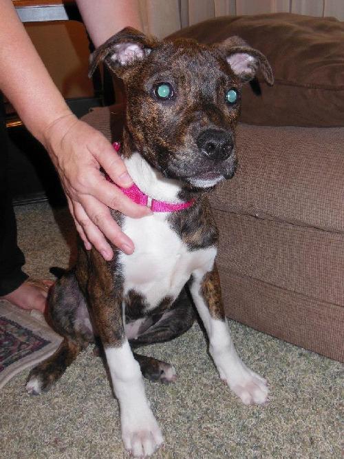 Roxy