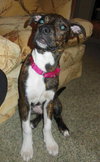 Roxy