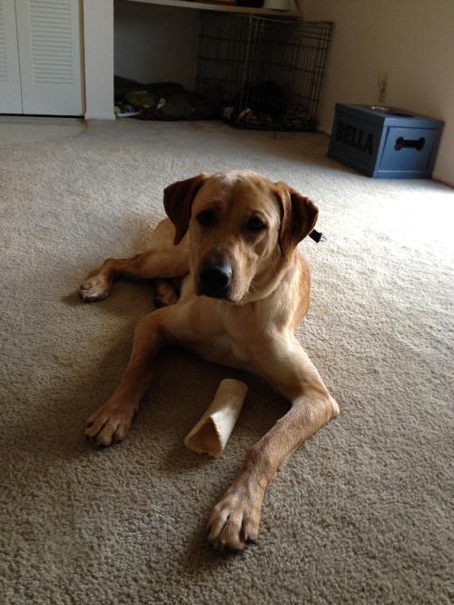 Murphy