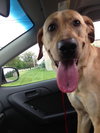 Murphy