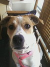 Carly