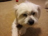 Charlie
