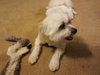 Charlie