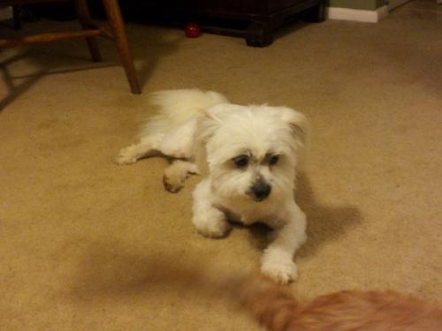 Charlie