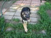 Molly