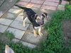 Molly