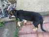 Molly