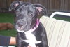Lucy
