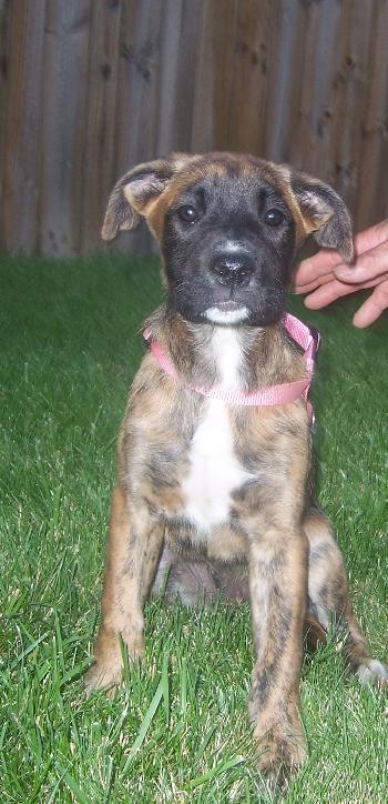 Lola