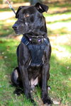 Sebastian