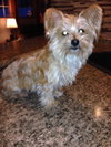 Bitsy