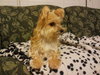 Bitsy