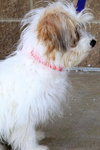 Lola