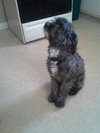Charlie