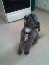 Charlie
