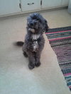 Charlie