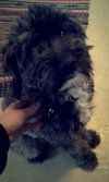 Charlie
