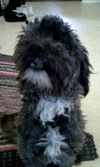 Charlie