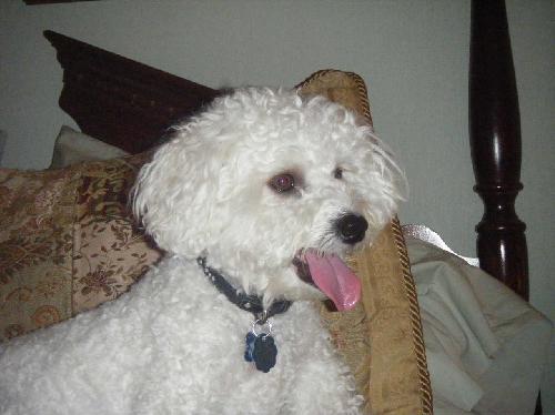 Charlie