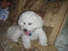 Charlie