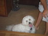 Charlie