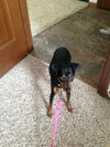 Daisy